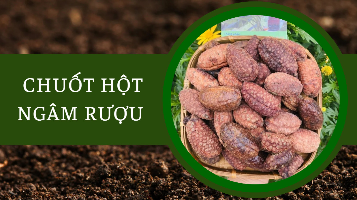 Chuối hột rừng ngâm rượu